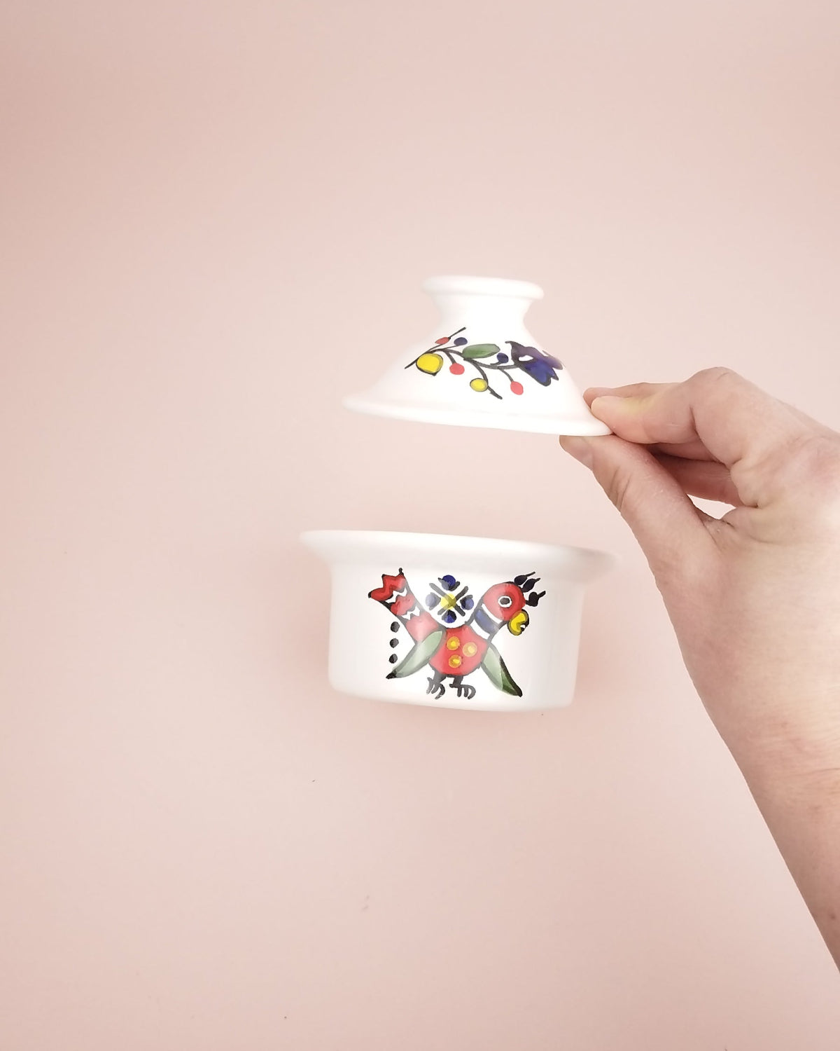 Kerouana Oiseau Vue2